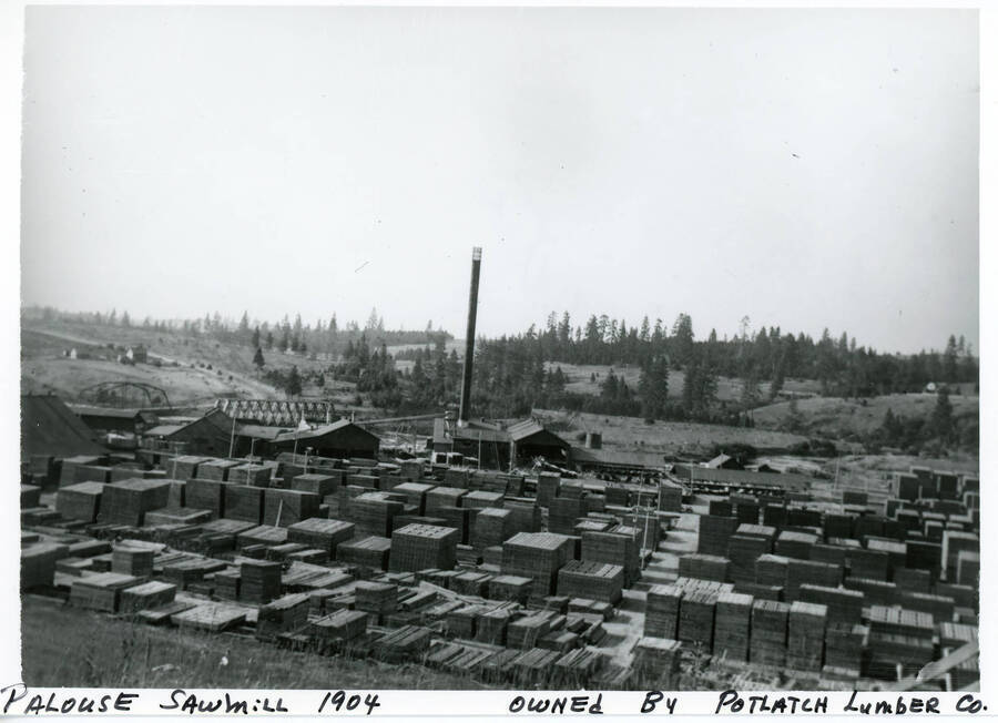 Photograph of saw mill owned by the Potlatch Lumber Company in Palouse, Washington.