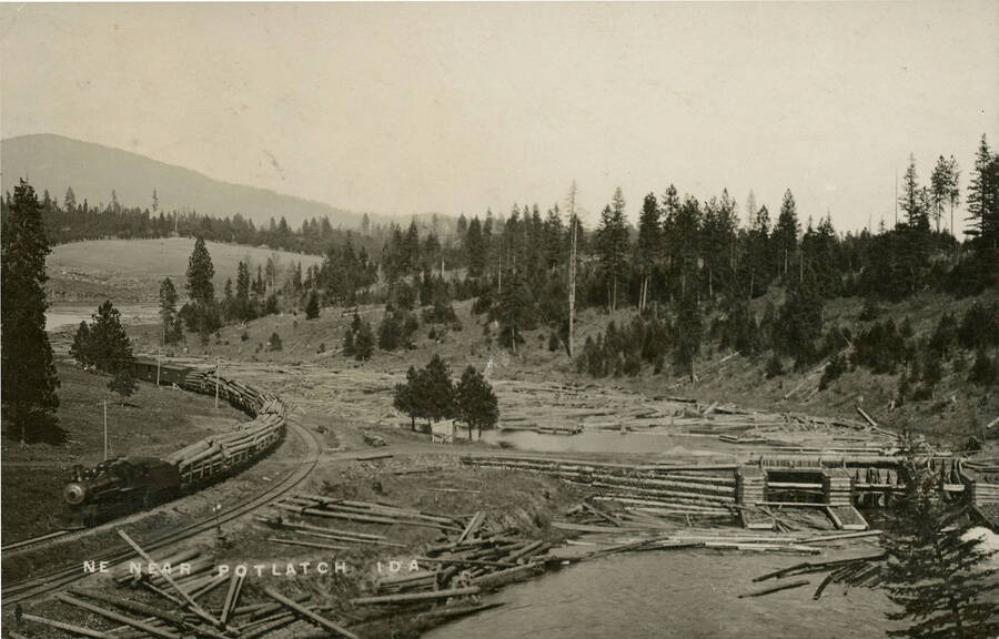 Postcard of a log train near Rock Creek dam.