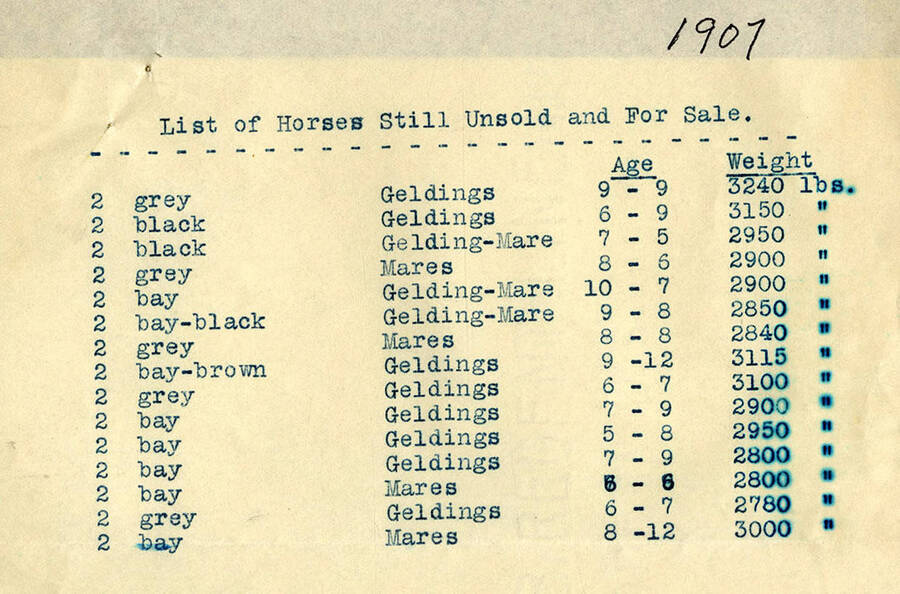 Document listing the horses that were still unsold and were for sale. It provides information about color, age and weight of the horses.