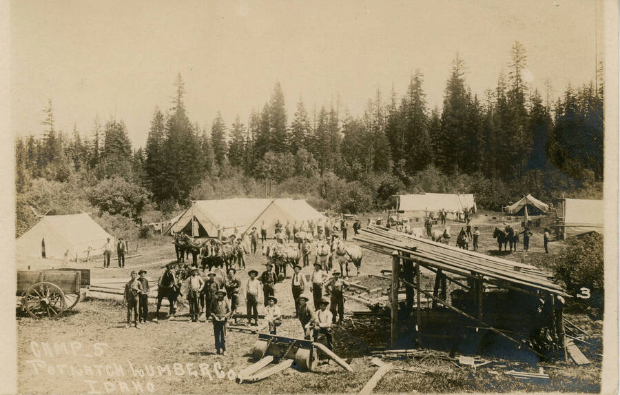 Postcard view of Camp 5, Potlatch Lumber Company.