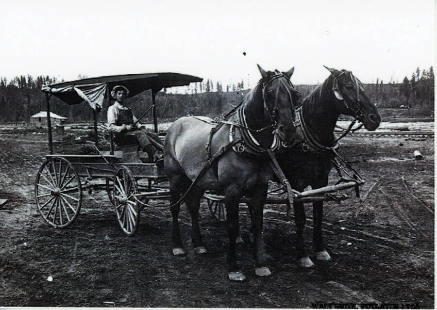 Photograph of Walt Smith with his horse and wagon.
