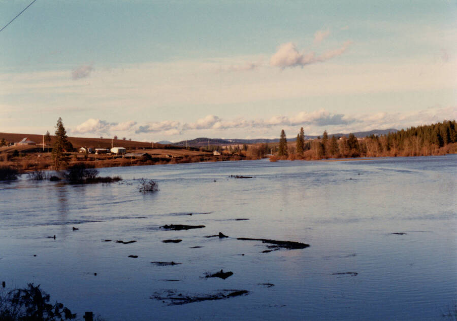 Photograph of flood at Riverside on the Palouse River.
