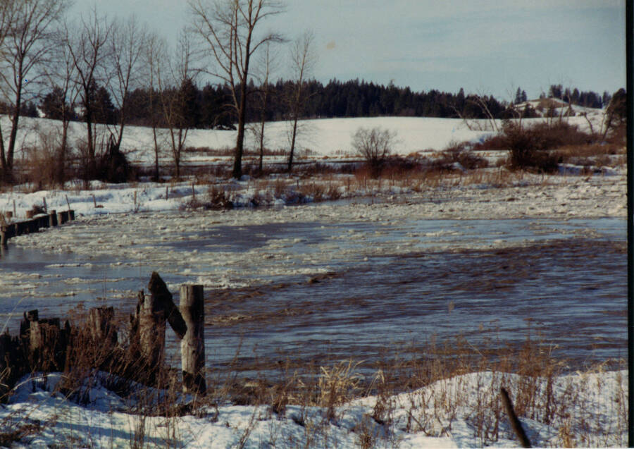 Photograph of the Palouse River over its banks.
