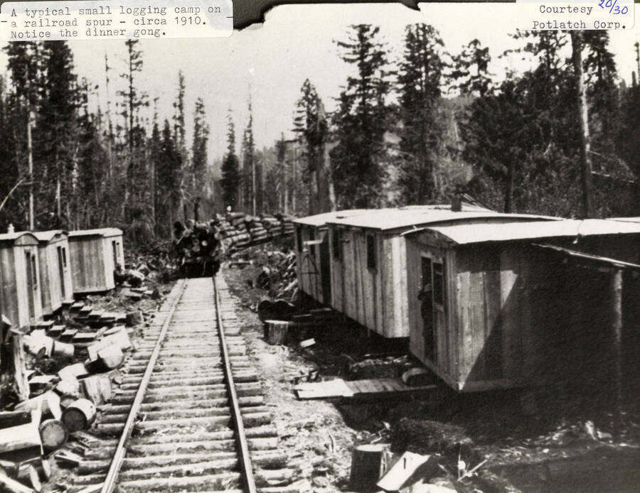 View of a small logging camp located on a railroad spur. A train hauling stacks of logs on flatcars can be seen going through the camp on the railroad tracks that run between the buildings.