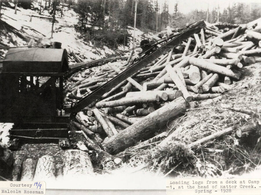Loading logs from a deck at Camp 1, which was located at the head of Hatter Creek.