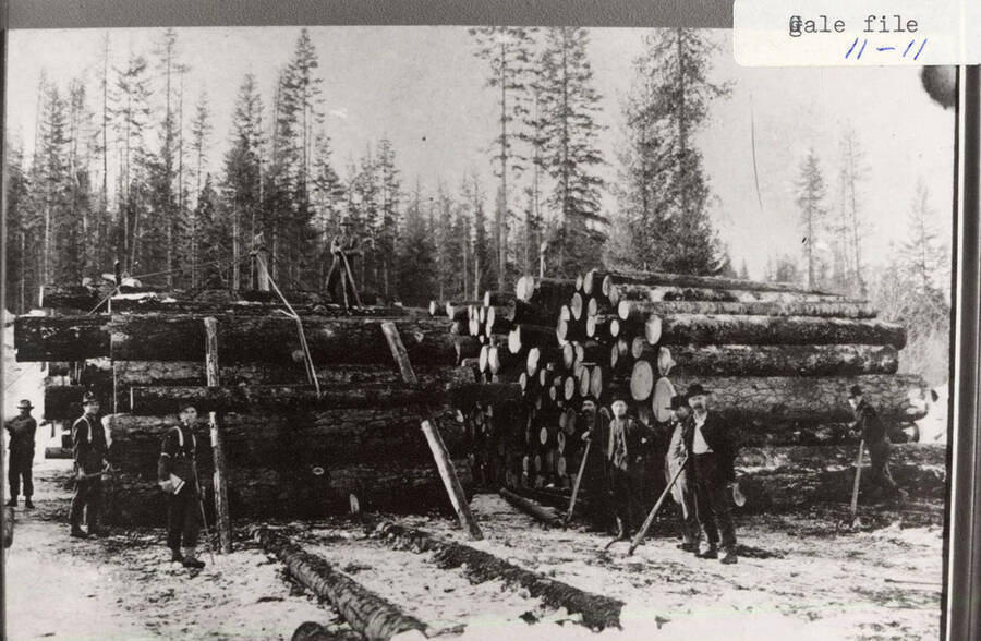 View of a log deck. Loggers can be seen standing on and a around the stacks of logs.