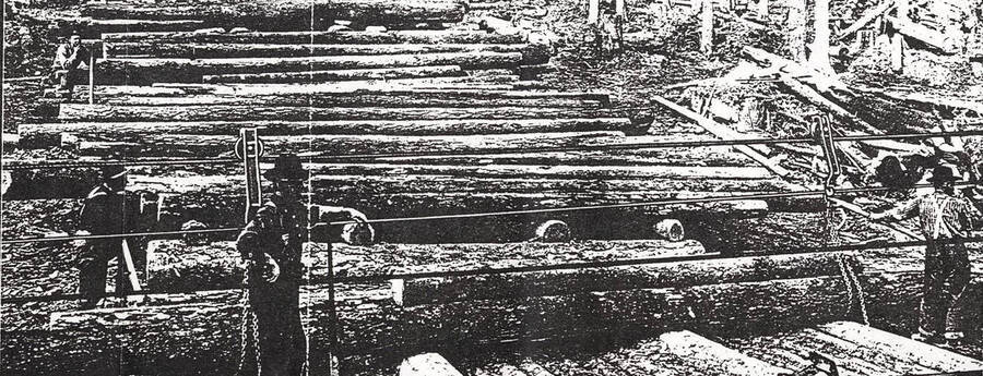 View of the cable system used for logging. Men can be seen standing between the  logs that are stacked on the ground of the forest.