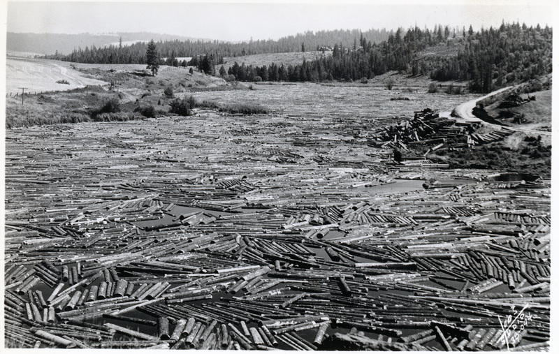 Postcard of logs on the Palouse River near Potlatch.