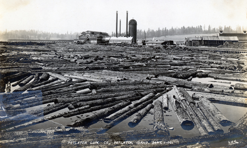 Photograph of the Potlatch Mill with logs floating in the pond in the foreground.