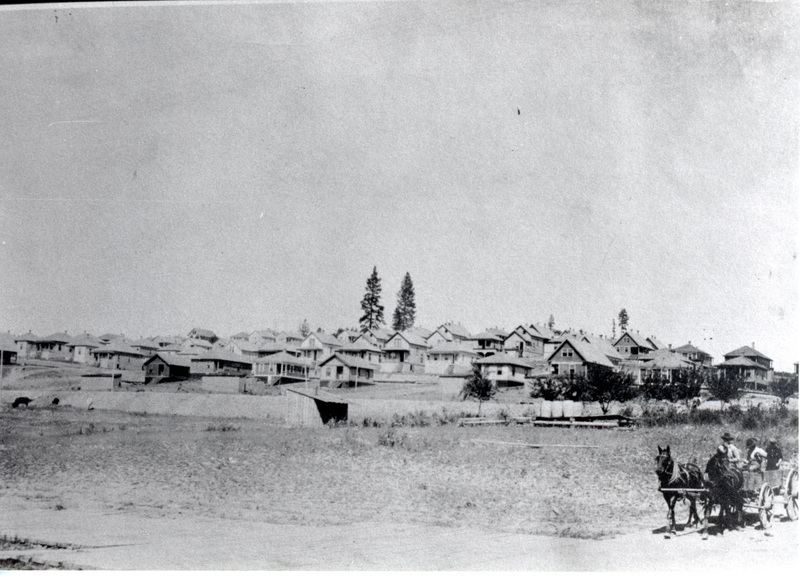 Photograph of homes in Potlatch with horse and buggy in the foreground.