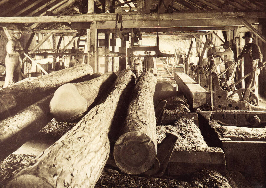 A group of men working the logging equipment in a large building.