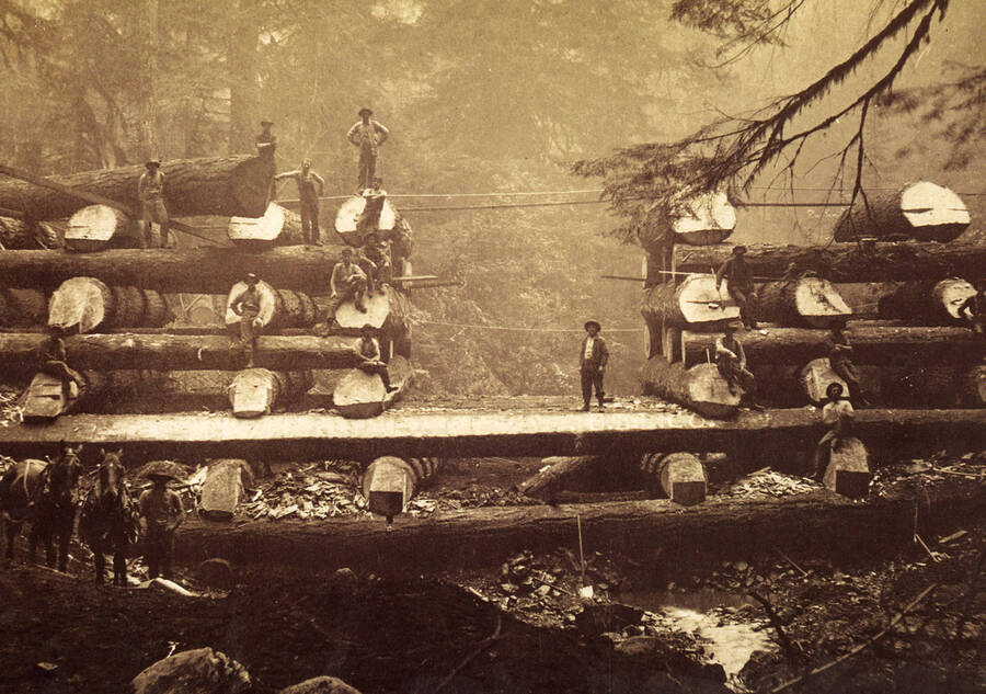 Men sitting and standing on a logs that have been constructed into a structure.
