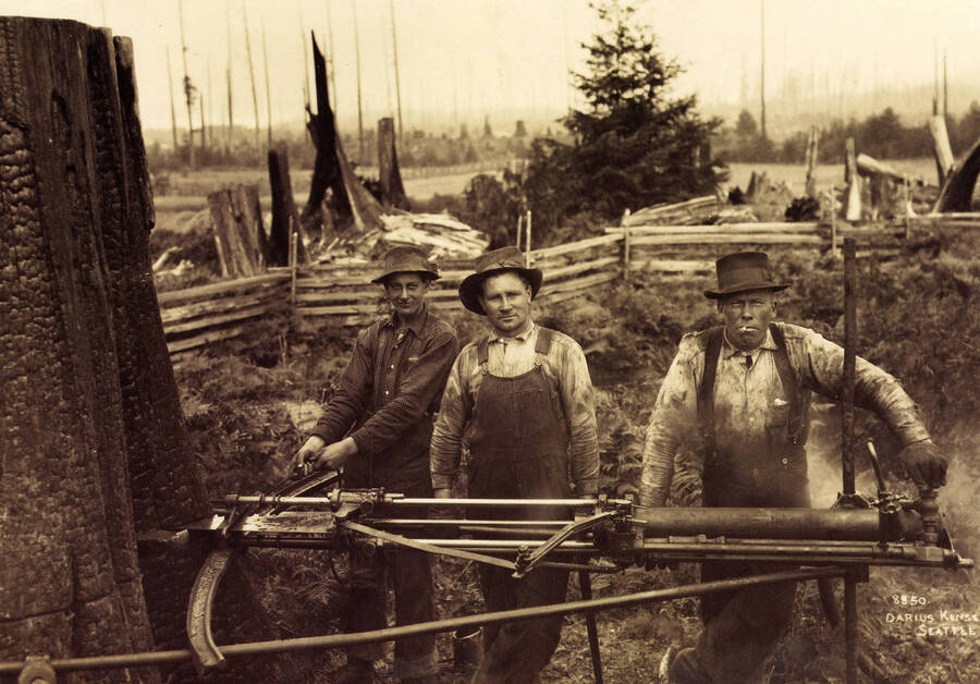 Three men holding a piece of equipment that is being used to cut down a tree.