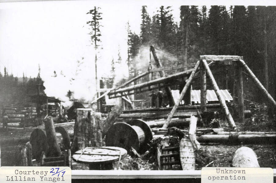 View of a PLC logging operation. Men can be seen standing on the equipment.