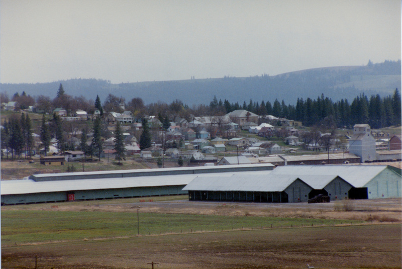 Photograph Looking at the town of Potlatch over the top of sheds A,B, and C from Fiddler's Ridge.