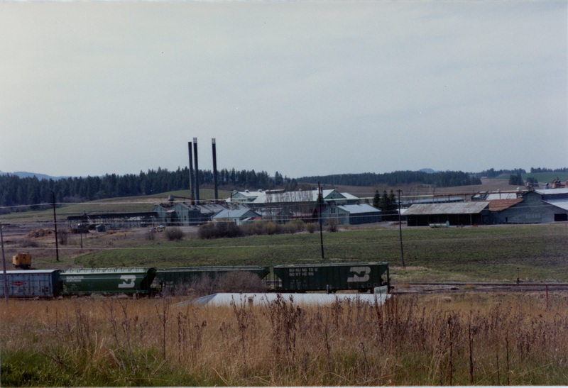 Photograph looking Southwest at the Potlatch Mill.
