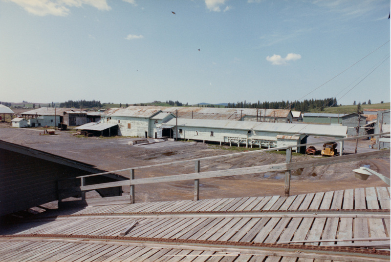Photograph looking at the stacker from incline to green chain at the Potlatch Mill.
