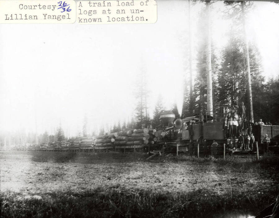 View of a train hauling stacks of logs on railroad cars. A group of men can be seen standing next to and on the train.