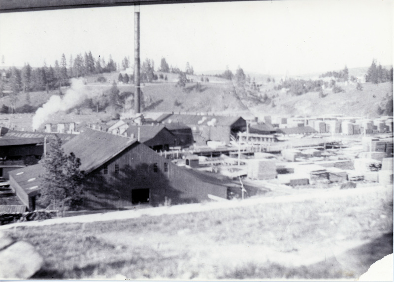Photograph of the Palouse River Lumber Company mill in Palouse.