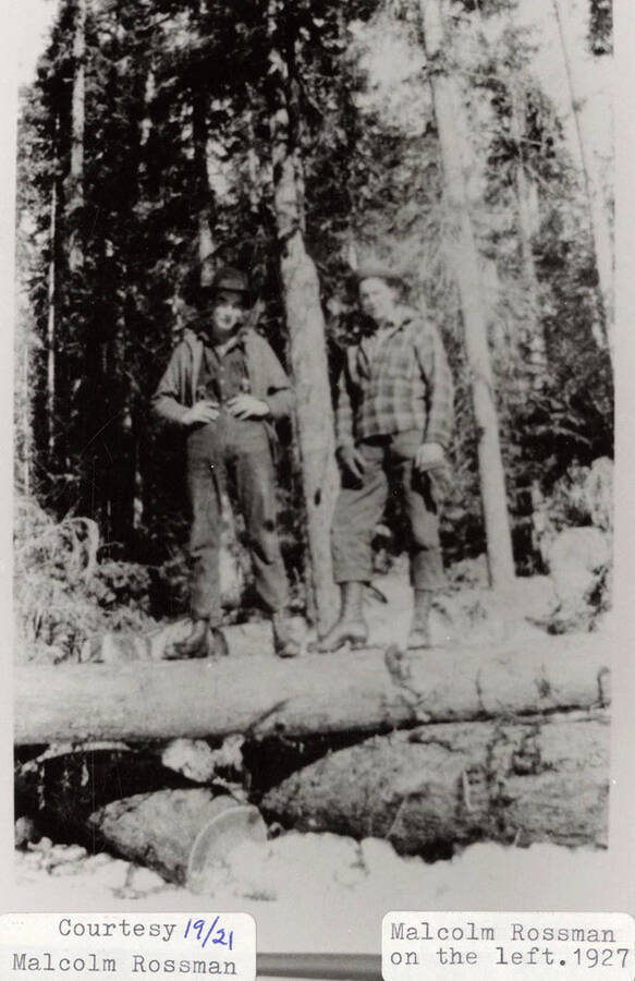 Two men standing on top of a stack of logs in a forest. Malcolm Rossman is the man on the left.