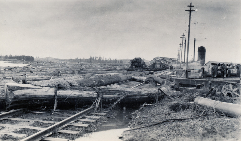 Photograph of logs and debris following a flood at the Potlatch Mill.