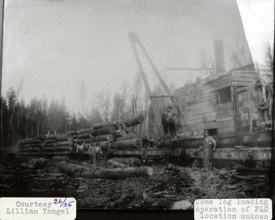 View of a PLC log loading operation. Men can be seen standing around a piece of equipment that is loading logs onto railroad cars.
