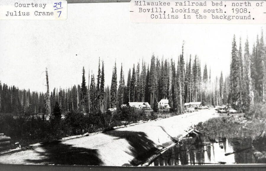 View looking south of the Milwaukee railroad bed, which is north of Bovill, Idaho. The Collins place can be seen amongst the trees.