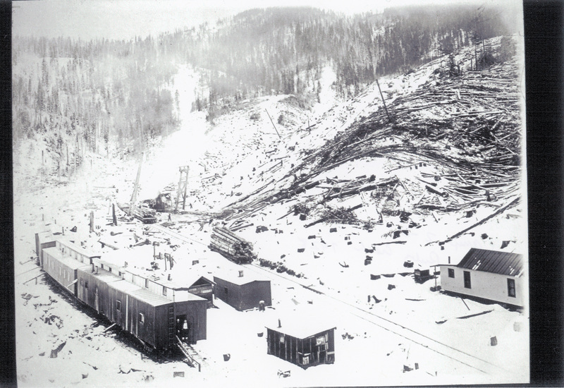 Photograph of logging camp 2-6 near Ruby Creek.