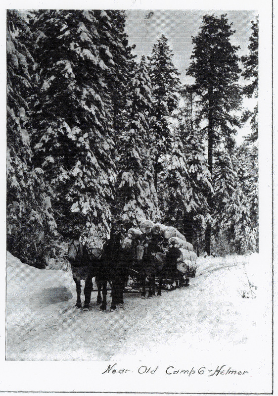 Photograph of the log sleigh near old Camp 6 near Helmer.