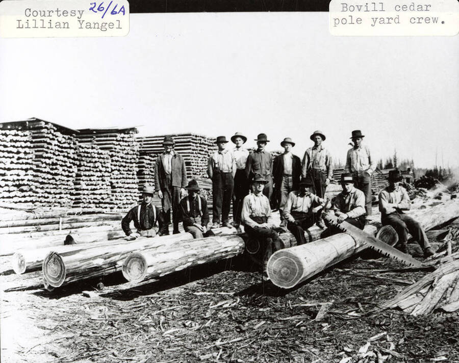Group photo of the Bovill cedar pole yard crew. The men are all wearing hat and are sitting and standing on logs. Two men can be seen holding a saw.