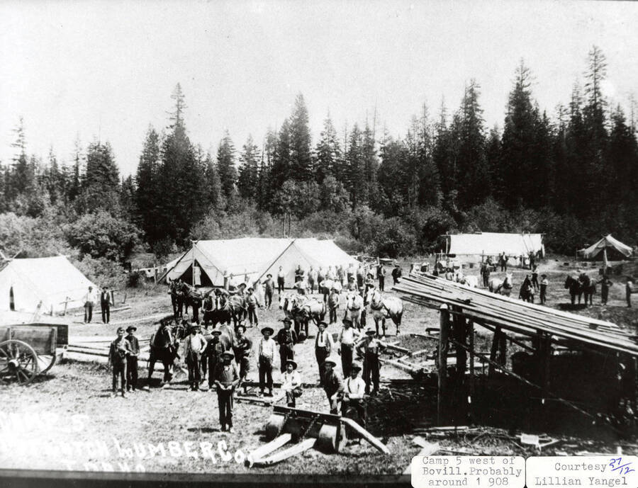 View of Potlatch Lumber Company camp 5, which is located west of Bovill. Men and horses can be seen standing next to white tents on the camp.