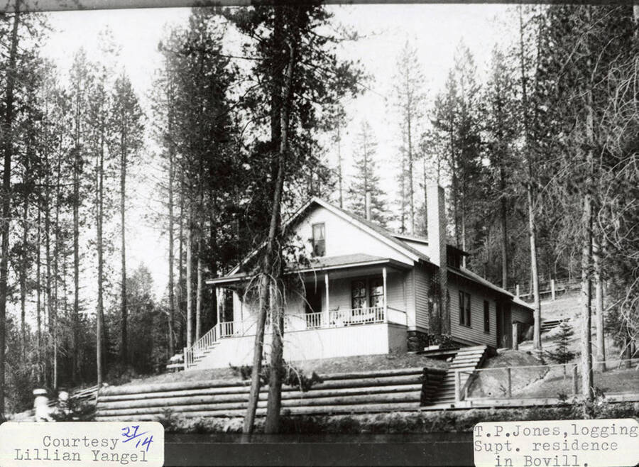 View of T. P. Jones', the logging superintendent, residence in Bovill, Idaho. The house is surrounded by trees and logs.