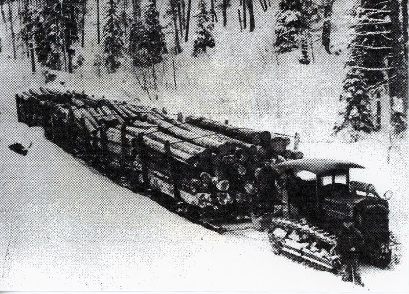 Photograph of Park Sleigh Haul that brought loges from the Park area to a reload on the WI&M near Helmer.