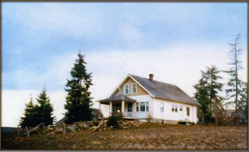 Photograph of the Wilson King home.