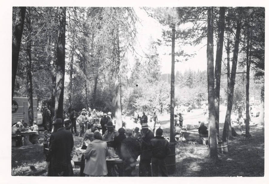 A photograph of a large group of people in a wooded park eating and conversing.