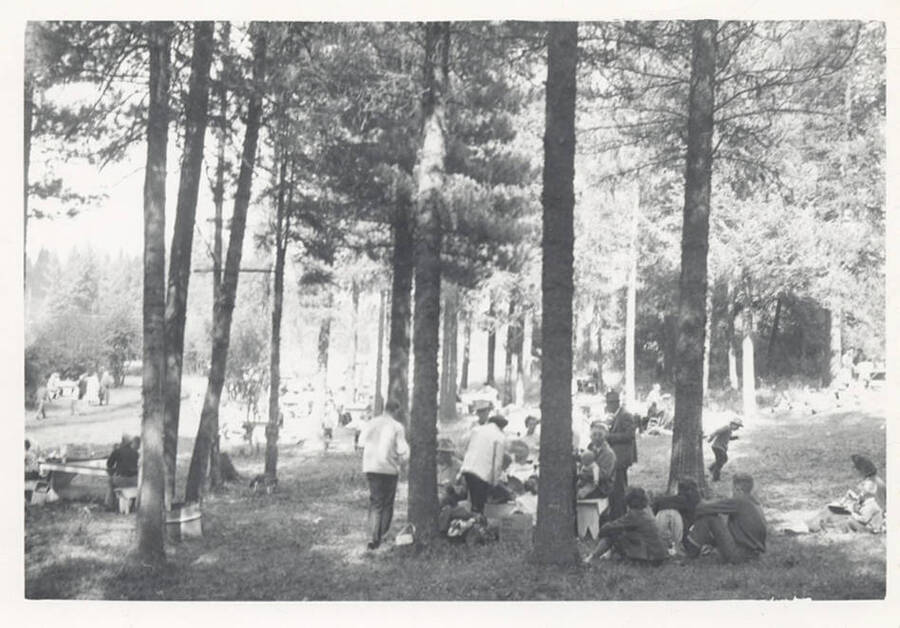A group of people sitting amongst the trees at a park.