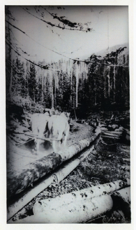Photograph of horses pulling logs on a flume.