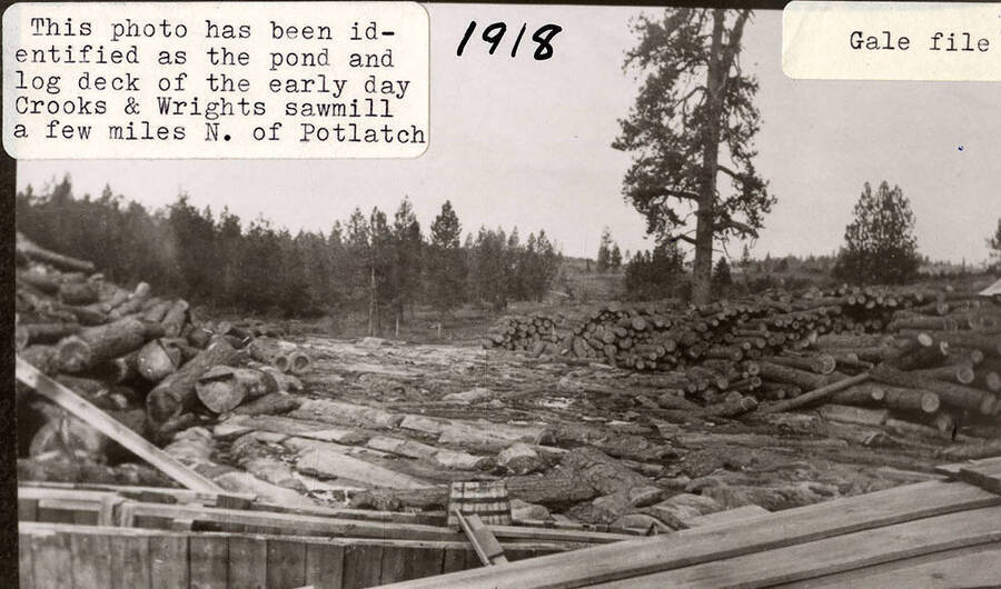 View of the pond and log deck of the early day Crooks and Wrights Sawmill, which is located a few miles north of Potlatch.