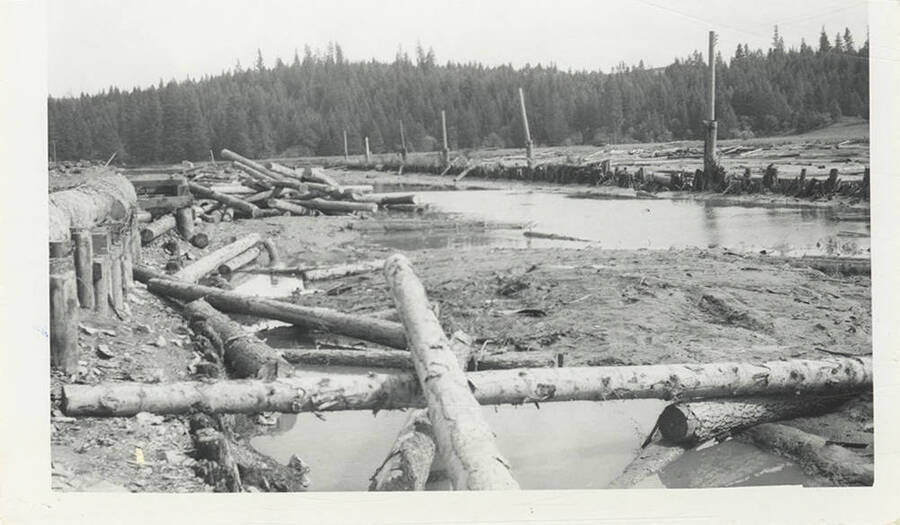 Messy piles of logs in mud and large puddles after a flood.