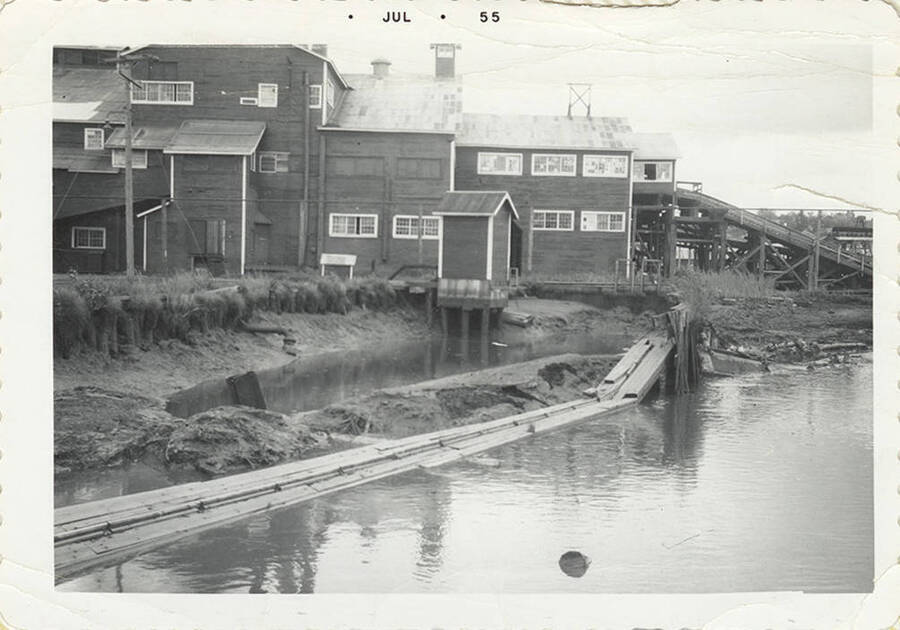A photograph by the main sawmill of the low water levels in the log pond.
