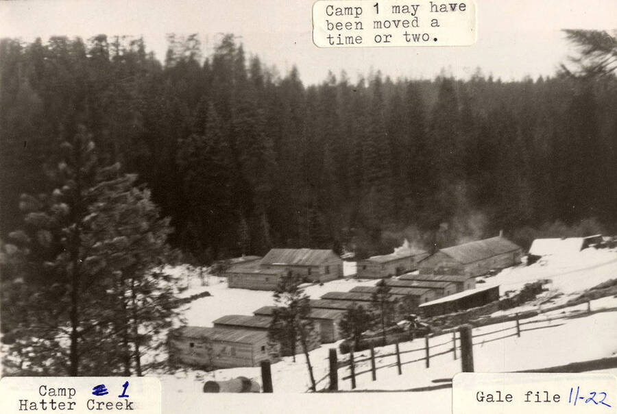 View of Camp 1, located near Hatter Creek. A group of log cabins can be seen surrounded by trees. Camp 1 may have been moved a time or two.