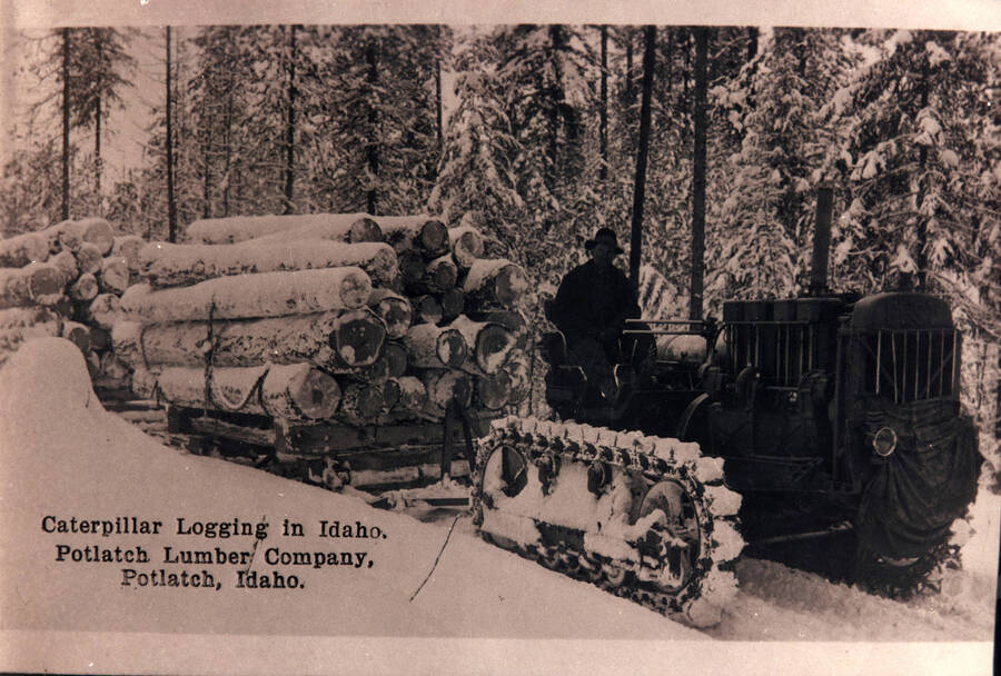 Snowy caterpillar logging in Potlatch, Idaho for the Potlatch Lumber Company.