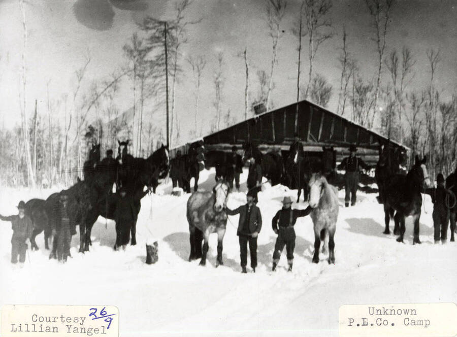 A group of men can be seen standing with  horses at a PLC camp.