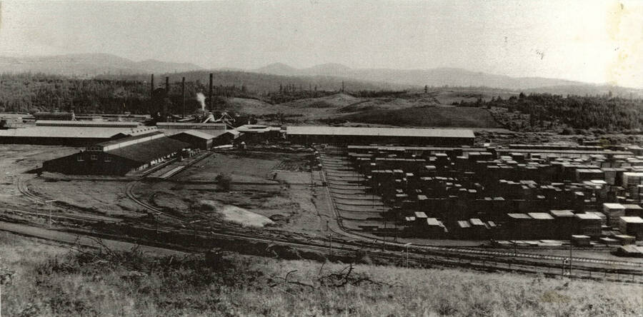 A view of a full lumber yard and the sawmill.