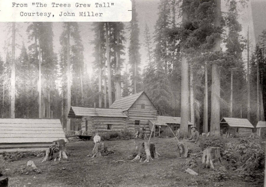 A photograph of a home and its residents with stumps from 'The Trees Grew Tall' courtesy of John Miller.