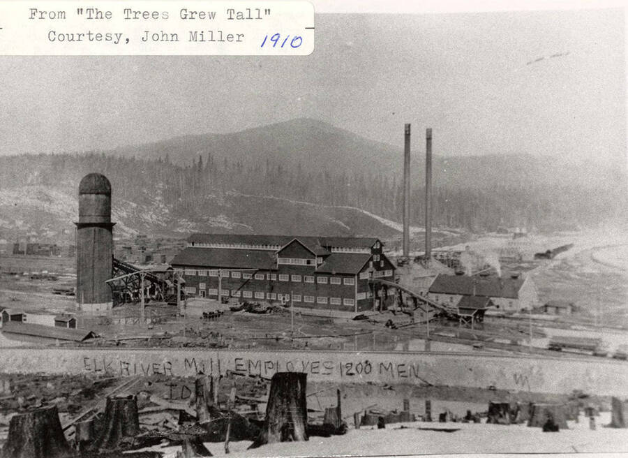 A photograph of the Elk River Mill which employed 200 men from 'The Trees Grew Tall' courtesy of John Miller.