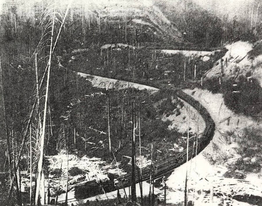 A photograph of a curvy road through bare trees potentially after a fire.
