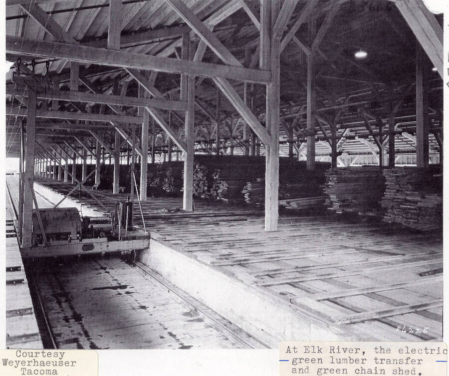 A photograph of the electric green lumber transfer and green chain shed at Elk River.