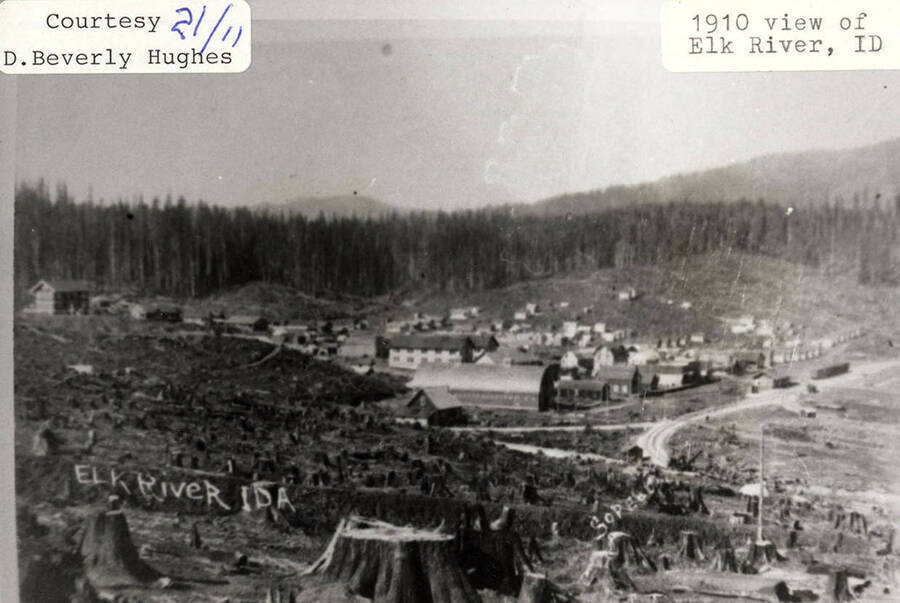 A photograph of the landscape of Elk River, Idaho in 1910.