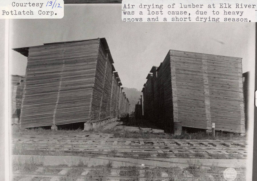 A photograph of air drying of lumber at Elk River which was a lost cause due to heavy snows and a shorty drying season.